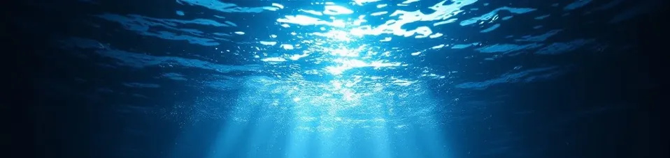 Salt Song Web Design